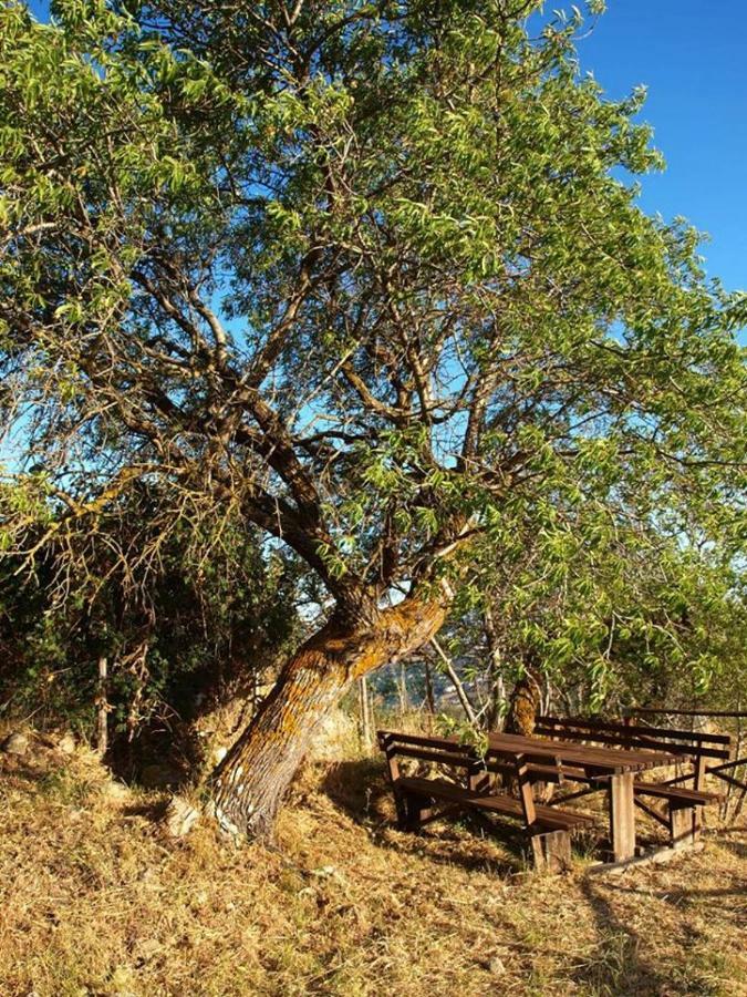 Agriturismo Gelso Castellana Sicula 외부 사진